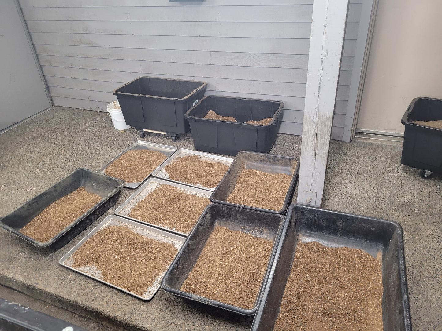 Prescription Paydirt -Temporary relief formula