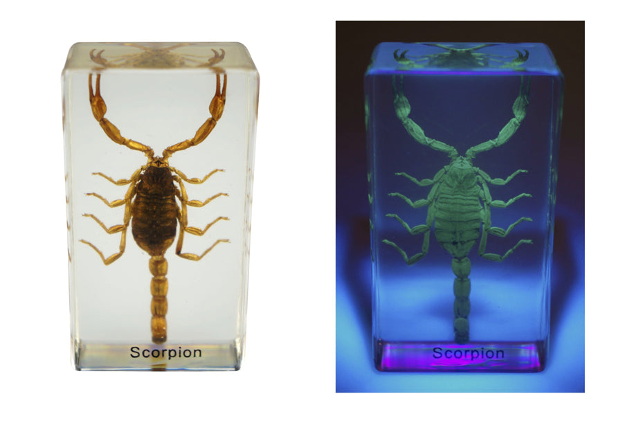 UV Aluminum 4" Handheld Flashlight with Wrist Strap, 405nm Wavelength