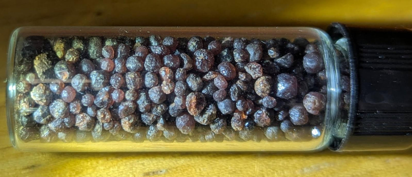 Gobs of Garnets - Garnet rich pay dirt with GOLD