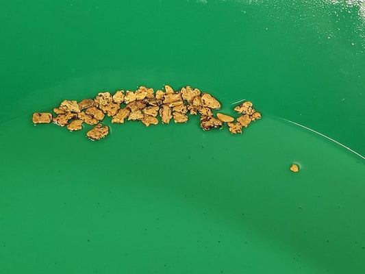 $100 Bag of Pay Dirt- with REAL Placer GOLD