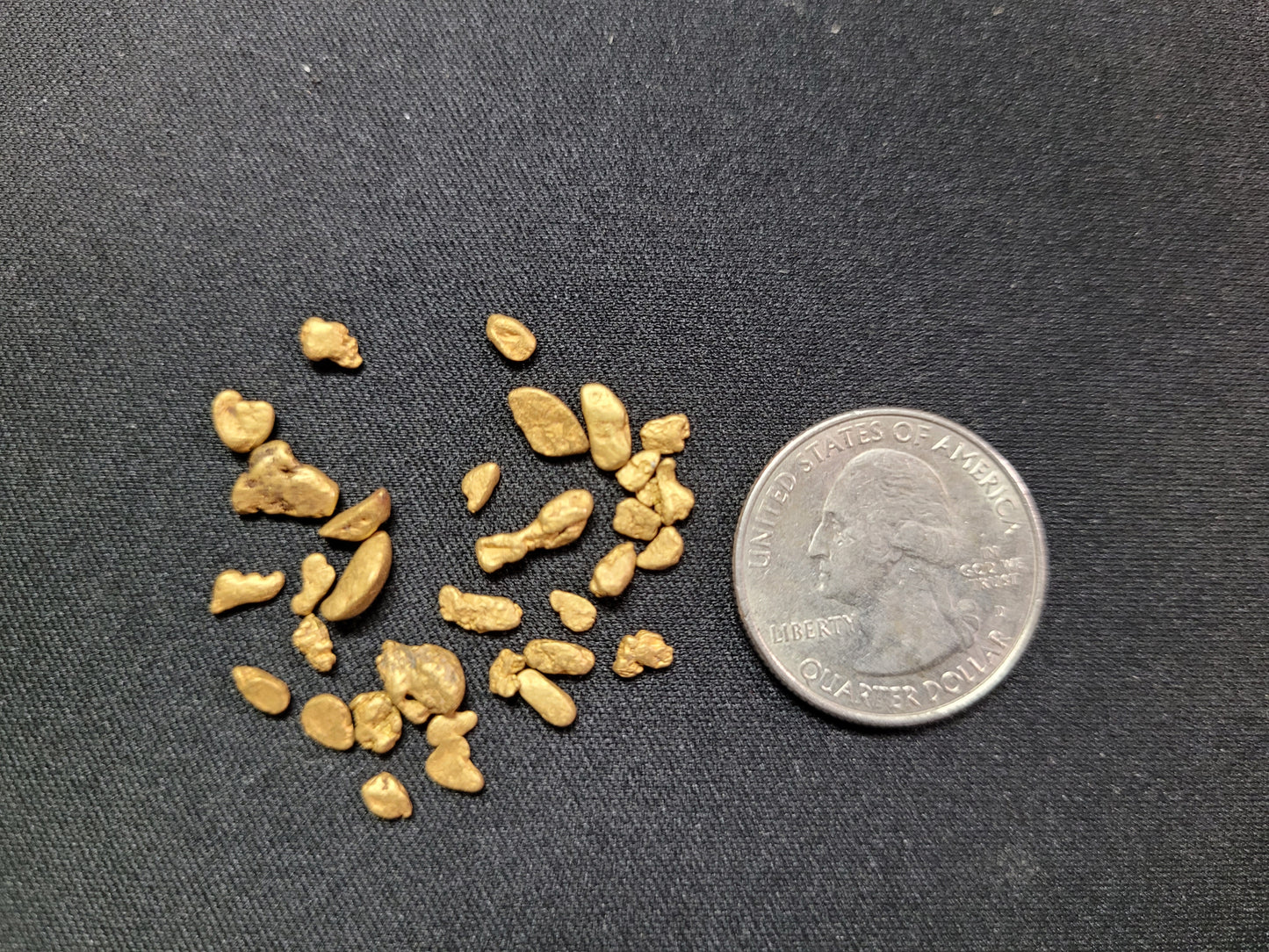 1 Gram of  Coarse Placer Gold-