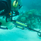 Excalibur II Universal 10"- Deep Dive Specialist
